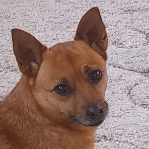 Meet your Posher, Tammy